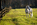 horses, horsemanship, www.haydryers.com