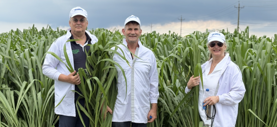(from left to right) Marco Tonelli - Technical Director, Alain Guillet - Field Expert, Sabine Zastrow Tonelli (Managing Director) - AgriCompact Technologies GmbH